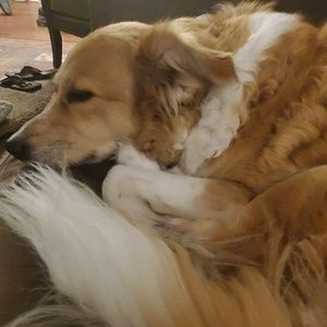 Meet your Posher, Claudine